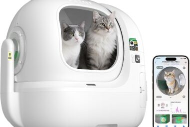 He probado el «OVNI» que limpia la arena de mi gato (y analiza sus cacas con IA)